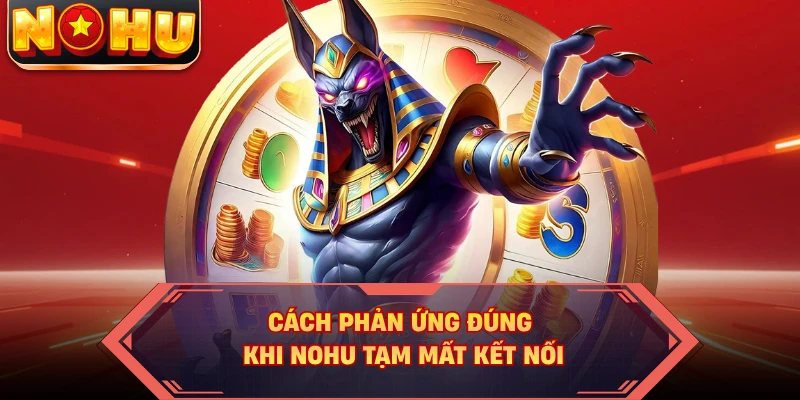 Cách phản ứng đúng khi NOHU tạm mất kết nối